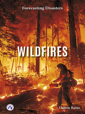cover image of Wildfires